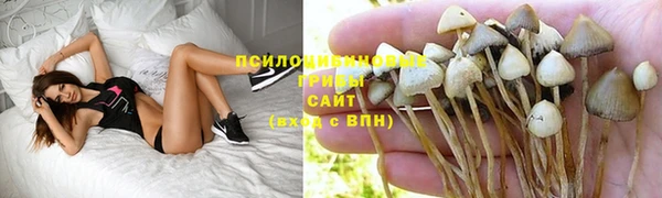 а пвп мука Алексин