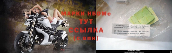 ГАЛЛЮЦИНОГЕННЫЕ ГРИБЫ Алзамай