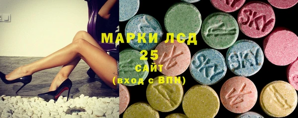 ГАЛЛЮЦИНОГЕННЫЕ ГРИБЫ Алзамай