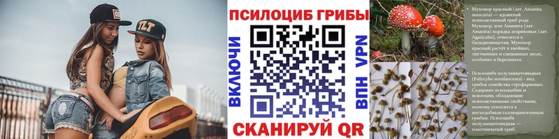 Галлюциногенные грибы прущие грибы Апрелевка