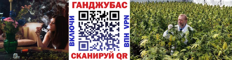 Каннабис сатива  где найти   Апрелевка 